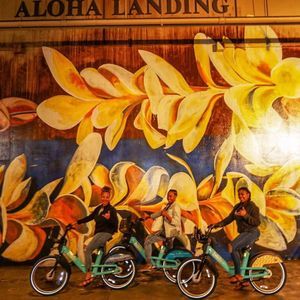 Meet your Posher, Tisha